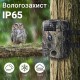 Фотопастка Suntek HC802A (53611)