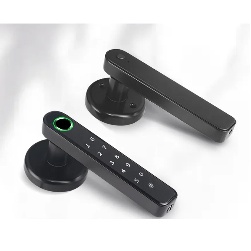 Біометричний розумний кодовий смарт замок на міжкімнатні двері Badodo Security 196