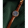 Наручний годинник чоловічий Carnival Grand Brown Золотий (1234)
