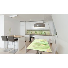 Наклейка вінілова на стіл Zatarga «Зелені Тюльпани» 650х1200 мм Z180718/1st