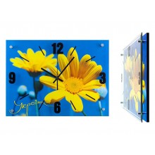 Настінні годинники Montre Україна Квітка соняшника 28x38 см Скло Тихий хід (18135)