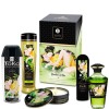 Подарунковий набір Shunga Garden of Edo SX0592