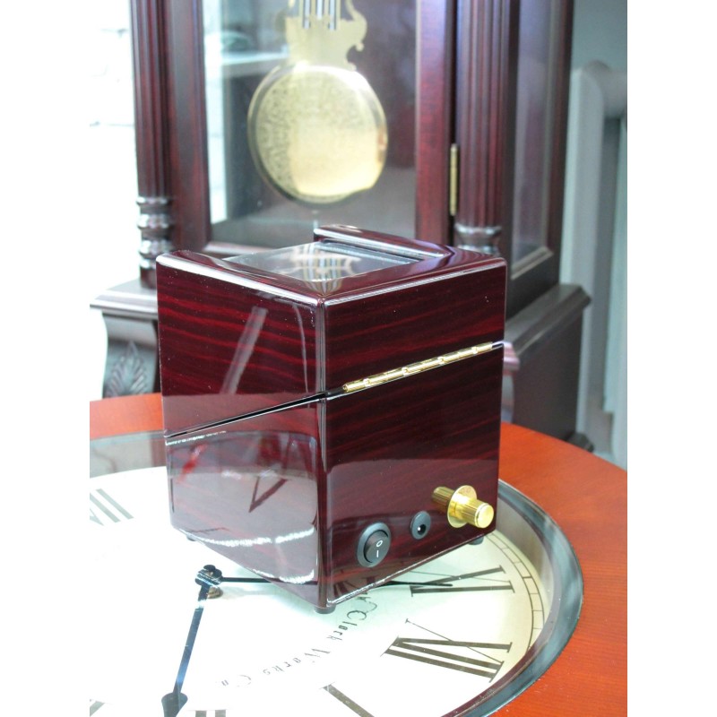 Шкатулка Salvadore для підзаводу 1 годинника 1041/EB5.SP 1x1 Бордовий