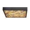 Стельовий світильник Candellux Luxan 39x39x5 см Чорний (10-17079)