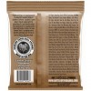 Струни для акустичної гітари Ernie Ball 2150 Earthwood Acoustic Phosphor Bronze 10/50