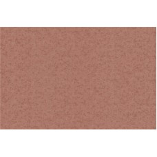 Шпалери Bravo вінілові на флізеліновій основі 84005BR83 (1,06х10,05м.)