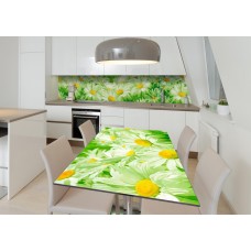 Наклейка 3Д вінілова на стіл Zatarga «Посмішки ромашок» 600х1200 мм для будинків, квартир, столів, кав'ярень.