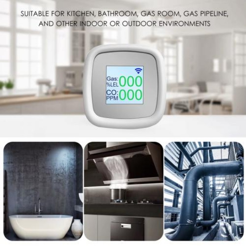 Wifi датчик витоку газу Nectronix GLD-20 з екраном та сиреною (101143)