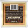 Струни для акустичної гітари Ernie Ball 2043 Earthwood 80/20 Bronze Silk and Steel Reguilar Acoustic Guitar Strings 13/56
