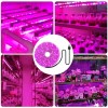 Світлодіодна ФітоЛента GrowLight для кімнатних рослин 5V USB 2835 0.5 м (L362F)