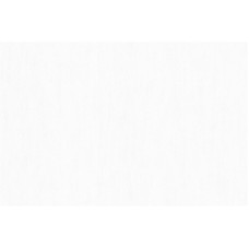 Шпалери Bravo вінілові на флізеліновій основі 81100BR00 (1,06х10,05м.)