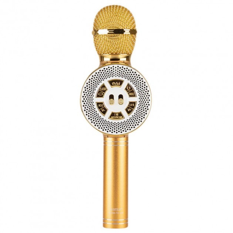 Дитячий мікрофон Wster з функцією караоке USB, microSD, AUX, Bluetooth WS 669 Золотий