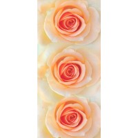 Фотошпалери Ніка Олександрія 210х97