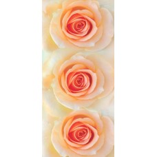 Фотошпалери Ніка Олександрія 210х97