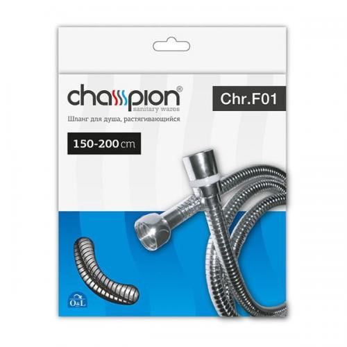 Шланг розтяжний CHAMPION Chr.F01 150-200 см (HO0009) в інтернет супермаркеті PbayMarket!