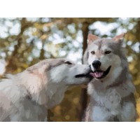 Картина за номерами Art Craft Більш ніж дружба 40*50см Картина за номерами Art Craft Більш ніж дружба 40*50см