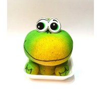 Трав'янчик Насіння країни Жабеня 10х15х11 см Зелений (1210336143) Трав'янчик Насіння країни Жабеня 10х15х11 см Зелений (1210336143)