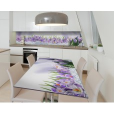 Наклейка вінілова на стіл Zatarga  