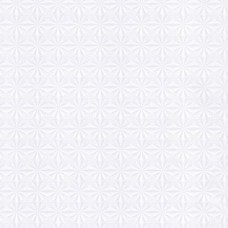 Панель ПВХ пластикова вагонка для стін та стелі D 8.03 250х3м Міріада Riko