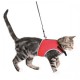 Повідець шлейку Trixie XCat для кішок 24-42 см Червоно-сірий (4011905418964)