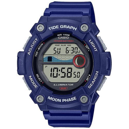 Годинник CASIO WS-1300H-2AVEF