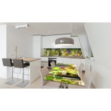 Наклейка вінілова на стіл Zatarga «Сонячний Виноград» 650х1200 мм Z180611/1st