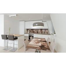 Наклейка вінілова на стіл Zatarga «Картина півонії ретро цеглини» 650х1200 мм Z180361/1st