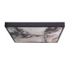 Стельовий світильник Candellux Luxan 59x59x5 см Чорний (10-14573)