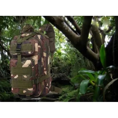 Рюкзак тактичний Woodland Molle 600D 28 л Камуфляж (1650314936) Рюкзак тактичний Woodland Molle 600D 28 л Камуфляж (1650314936)