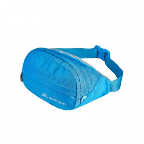 Поясна сумка Gregory Essential Nano Waistpack Темно-бірюзовий (1053-126861/4683) Поясна сумка Gregory Essential Nano Waistpack Темно-бірюзовий (1053-126861/4683)