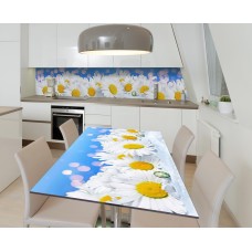 Наклейка 3Д вінілова на стіл Zatarga «Полежання ромашок» 650х1200 мм для будинків, квартир, столів, кав'ярень