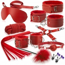 BDSM-комплект червоного кольору для рольових ігор із 10 предметів We Love