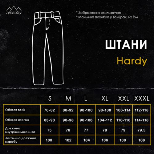 Штани карго чоловічі Pobedov Hardy 324540 S Піксель (00000005645)
