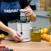 Соковитискач ZELMER ZJE3800 600 Вт Біло-сірий (74723592)