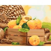 Картина за номерами Ідейка Золотистий абрикос 40х50 см (KHO5565)