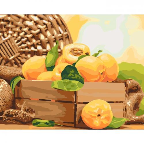 Картина за номерами Ідейка Золотистий абрикос 40х50 см (KHO5565) Картина за номерами Ідейка Золотистий абрикос 40х50 см (KHO5565)