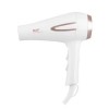 Фен для волосся RAF R.408 з концентратором 2200W White