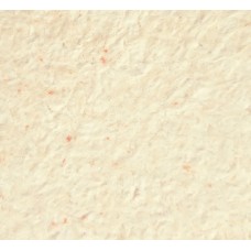 Рідкі шпалери Нектаринового кольору Тюльпан 1121