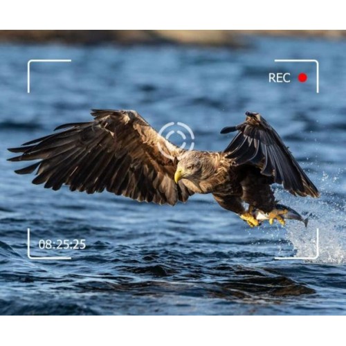 Фотопастка Suntek Huntcam HC-940 LTE PRO 120 ° 36MP IP65 (55279) Фотопастка Suntek Huntcam HC-940 LTE PRO 120 ° 36MP IP65 (55279)