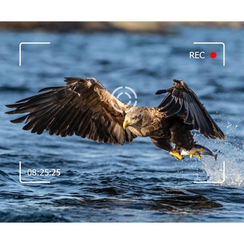 Фотопастка Suntek Huntcam HC-940 LTE PRO 120 ° 36MP IP65 (55279)