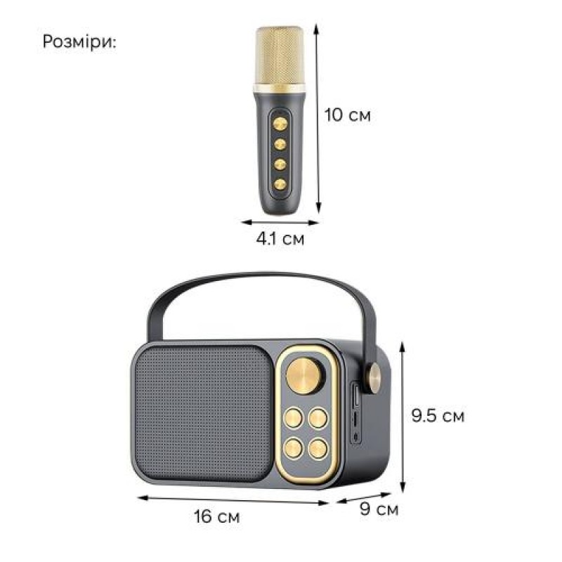 Портативна караоке-система Inspire YS-105 Black