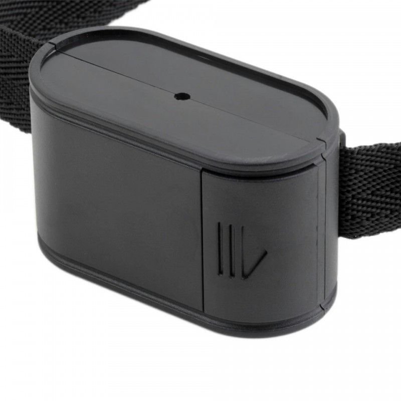 Електронний паркан для 2-x собак Pet 023, c 2-мя нашийниками