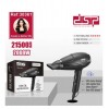 Фен для укладання та сушіння волосся Dsp 30361 з концентратором 2000W Чорний