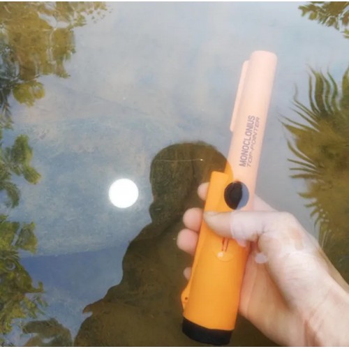 Піноінтер підводний GP-Pointer Monoclonius Top-Pointer Помаранчевий (2176658627) Піноінтер підводний GP-Pointer Monoclonius Top-Pointer Помаранчевий (2176658627)