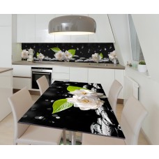 Наклейка вінілова на стіл Zatarga  