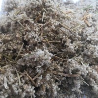 Пол-пала (ерва шерстистий) трава Карпаты 50 г