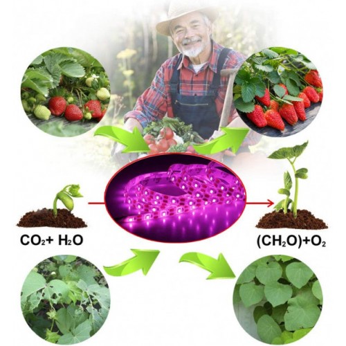 Світлодіодна ФітоЛента GrowLight для кімнатних рослин 5V USB 2835 3 м (L365F)