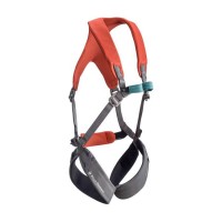 Детская страховочная система Black Diamond Kids' Momentum Full Body (1033-BD 651089.OCTN)