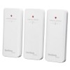 Термогігрометр Technoline WS7060 Black (WS7060)