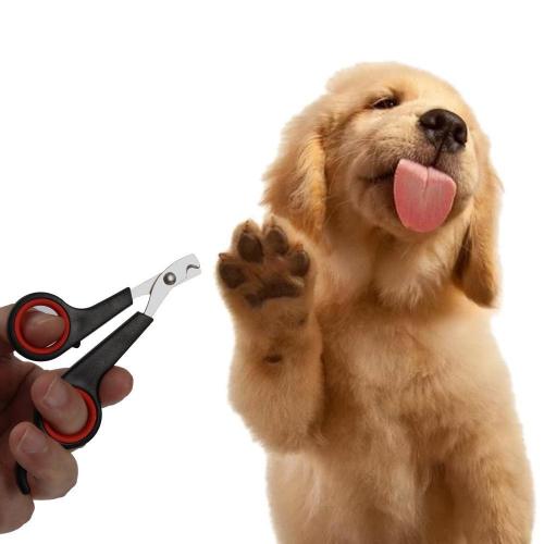 Кусачки-кігтерез HMD Чорний (164-12323284) Кусачки-кігтерез HMD Чорний (164-12323284)